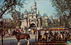 Sleeping Beauty Castle - Fantasyland Postcard