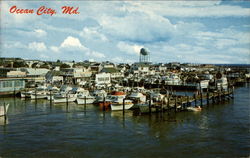 "Fisherman's Paradise" Ocean City, MD Postcard Postcard