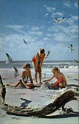 Fun in the Sand Scenic, FL Postcard Postcard