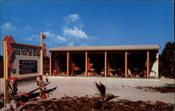 Sea Horse Shop Sanibel Island, FL Postcard Postcard