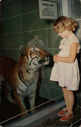 Stock #275115 Thumbnail