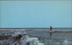 Surfing at the Cape Cape May, NJ Postcard Postcard