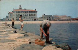 Fishing from the Jetty Postcard