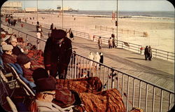 Marlborough Blenheim Hotel Postcard