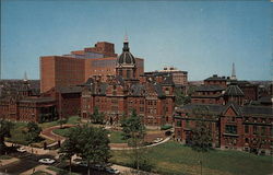 The Johns Hopkins Hospital Postcard