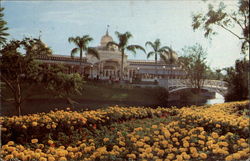 The Crystal Palace Restaurant, Disneyworld Postcard