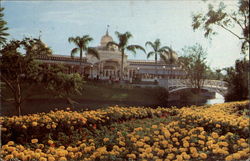 The Crystal Palace Restaurant, Disneyworld Orlando, FL Postcard Postcard