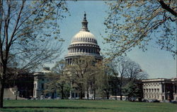 United States Capitol, Washington D.C. Postcard
