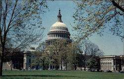 United States Capitol Postcard