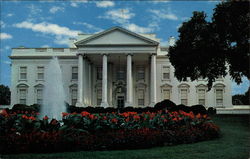 The White House Postcard