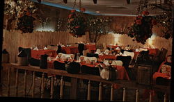 Stock #275583 Thumbnail