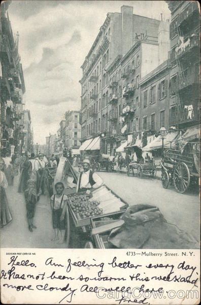 Mulberry Street New York