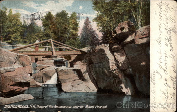 Gorge of the Ammonoosuc Near the Mount Pleasant Bretton Woods New Hampshire