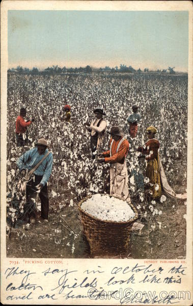 Picking Cotton Black Americana