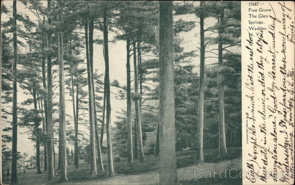 Pine Grove, The Glen Springs Watkins Glen New York