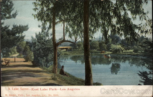 A Lake Scene - East Lake Park Los Angeles California