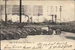 Sugar on the Levee Postcard