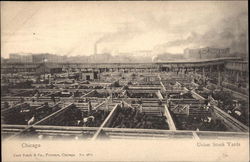 Stock #275676 Thumbnail