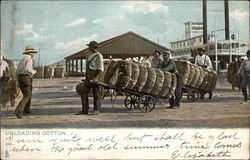 Unloading Cotton Black Americana Postcard Postcard