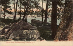 Webster Lake and Webster Park Franklin, NH Postcard Postcard