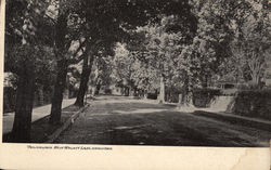 West Walnut Lake, Germantown Postcard