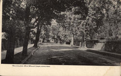 West Walnut Lake, Germantown Philadelphia, PA Postcard Postcard
