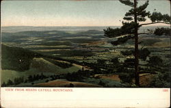 View from Meads, Catskill Mountains Postcard