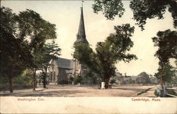 Washington Elm Cambridge, MA Postcard Postcard