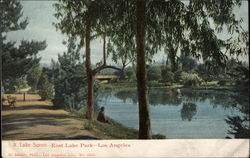 A Lake Scene - East Lake Park Postcard