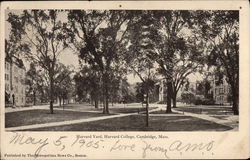 Harvard Yard, Harvard College Postcard