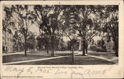 Harvard Yard, Harvard College Cambridge, MA Postcard Postcard