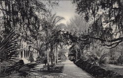 Promenade, Tampa Bay Hotel Florida Postcard Postcard