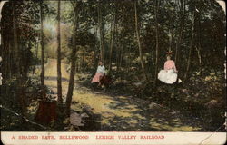 A Shaded Path, Bellewood, Lehigh Valley Railroad New Jersey Postcard Postcard