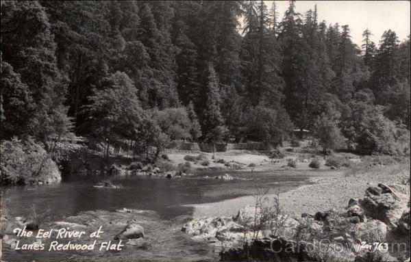 The Eel River, Lane's Redwood Flat Leggett California