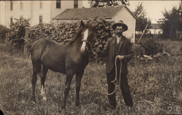 Man Holding His Horse Horses