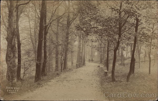 Whiteley Woods Sheffield England Yorkshire