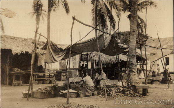 In the Shade of the Cocoanut Palms San Jose de Guatemala