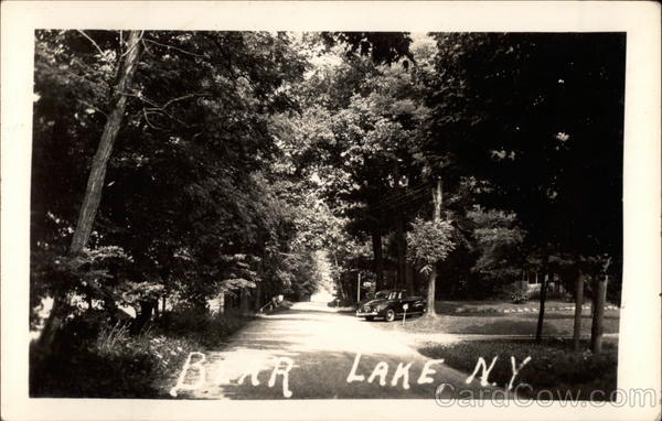 Bear Lake Morehouse New York