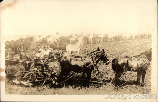 Horses in a Farmer's Field Farming