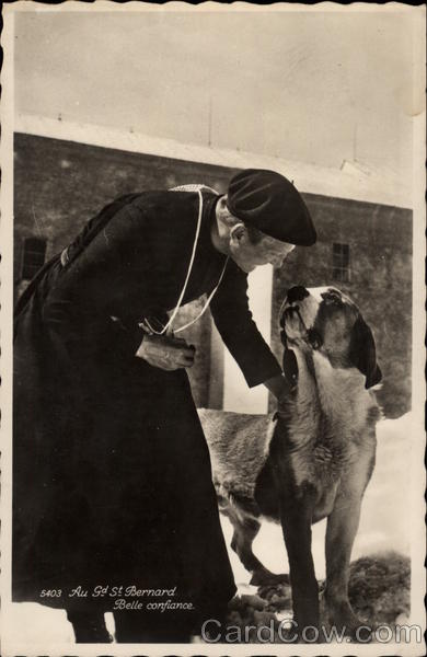 Au Gd. St. Bernard, Belle Confiance Saint Bernards