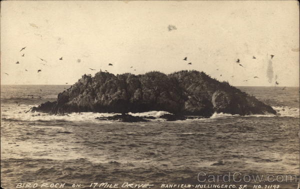 Bird Rock on 17-Mile Drive San Francisco California
