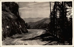 Skyland Highway Postcard