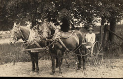 Farmer and Horse Cart Postcard