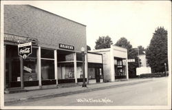 Street scene, with stores White Cloud, MI Postcard Postcard