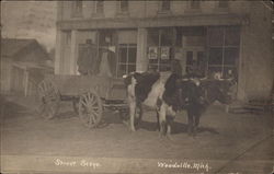 Street Scene Woodville, MI Postcard Postcard