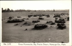 Grass Hummocks, Big Prairie Desert Michigan Postcard Postcard