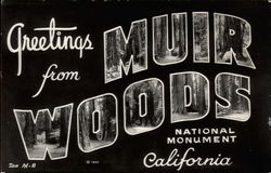 Greetings from Muir Woods National Monument Mill Valley, CA Postcard Postcard