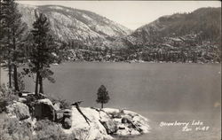 Strawberry Lake Pinecrest, CA Postcard Postcard