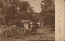 Sulphur Springs Cottages Postcard