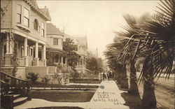 Where the Palms Grow Where the Palms Grow